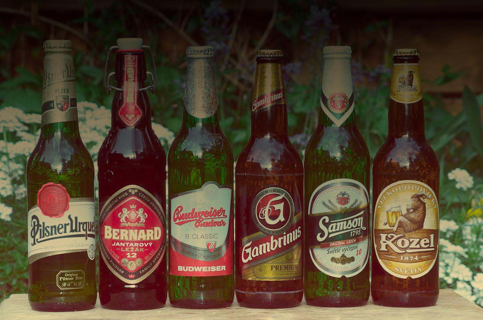 Team member Dan banner image - row of bottles